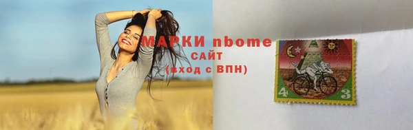 СК Алексин