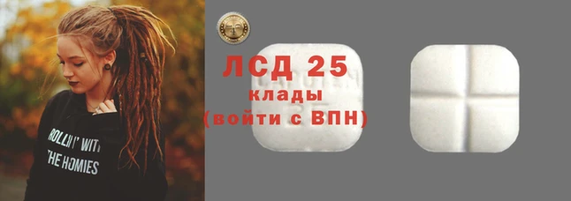СК Алексин