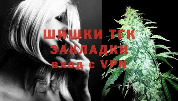 прущий лед Арсеньев