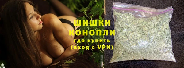 PSILOCYBIN Аркадак