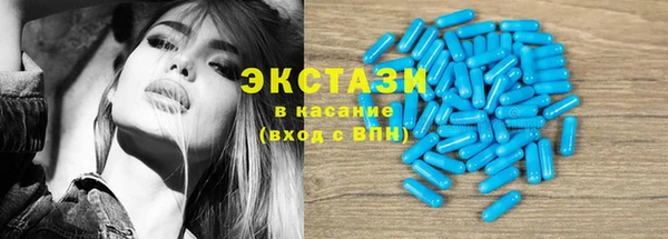 СК Алексин