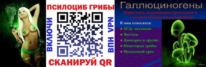 Псилоцибиновые грибы мухоморы  купить наркотик  Новороссийск 